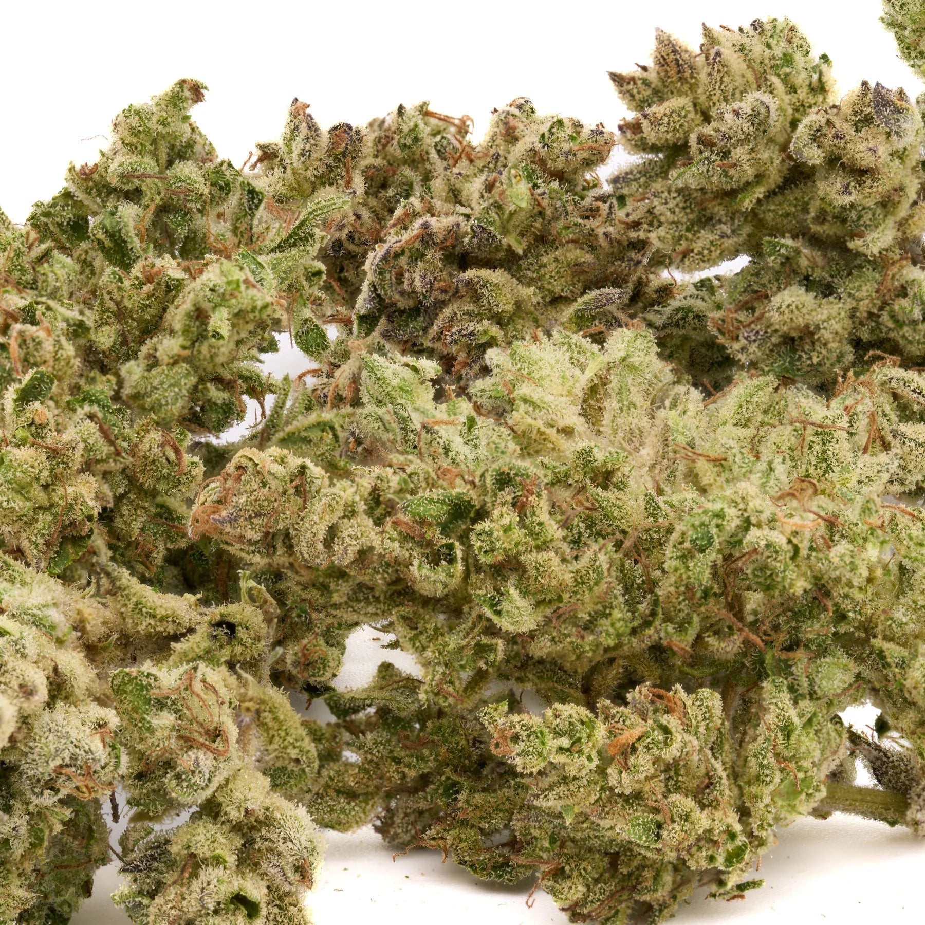 Frosty green Sauerkraut THCa Hemp Flower with Purple Punch strain buds