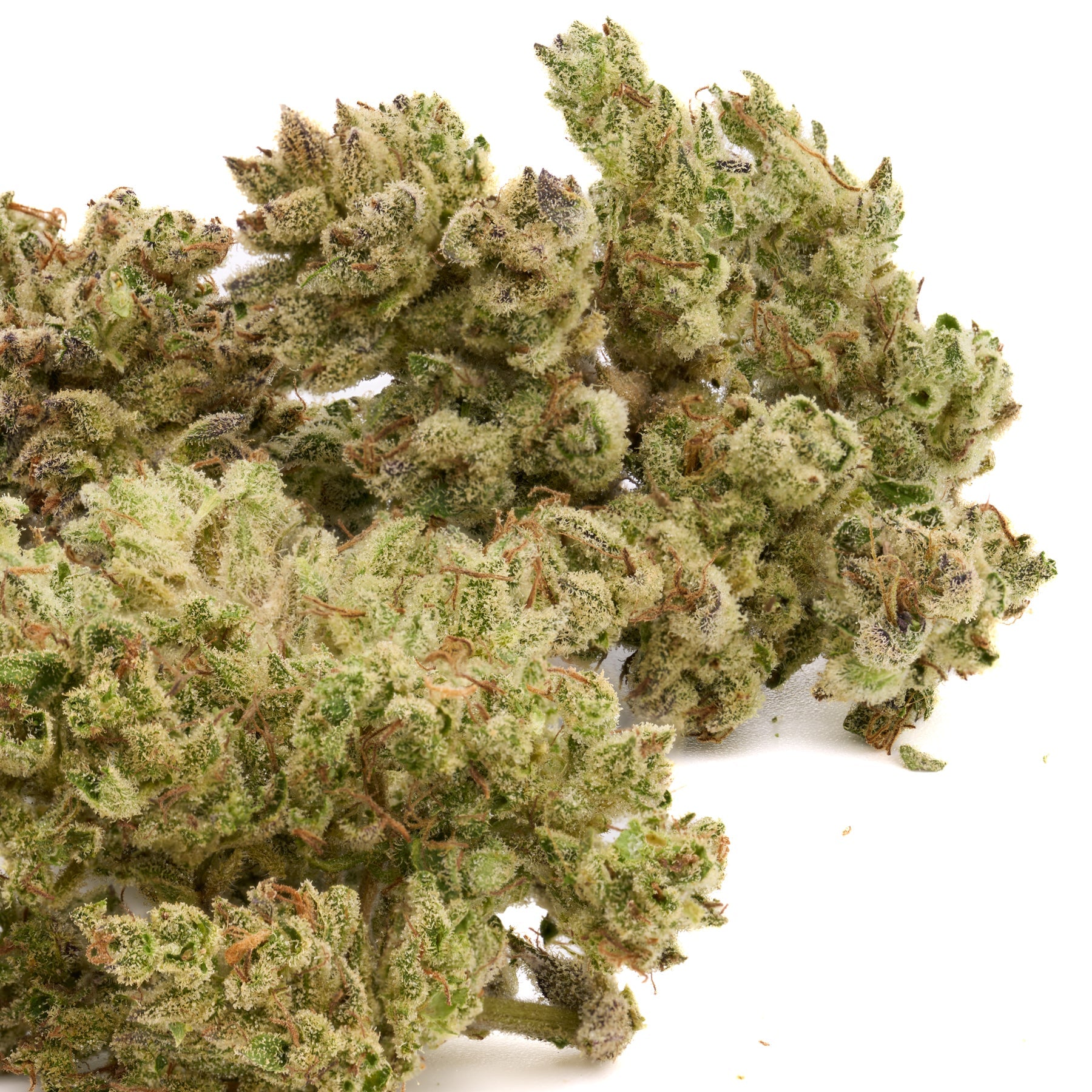 Light green Sauerkraut THCa Hemp Flower with orange hairs and white trichomes