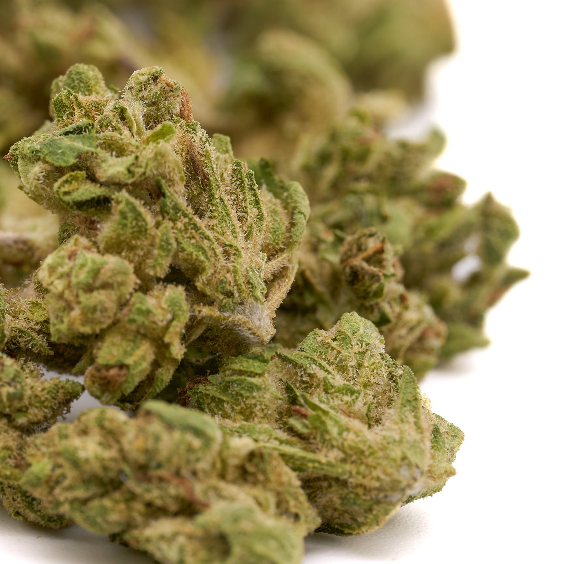 Light green dried cannabis buds with trichomes from Sauerkraut THCa Hemp Flower Smalls featuring Sour Diesel strain