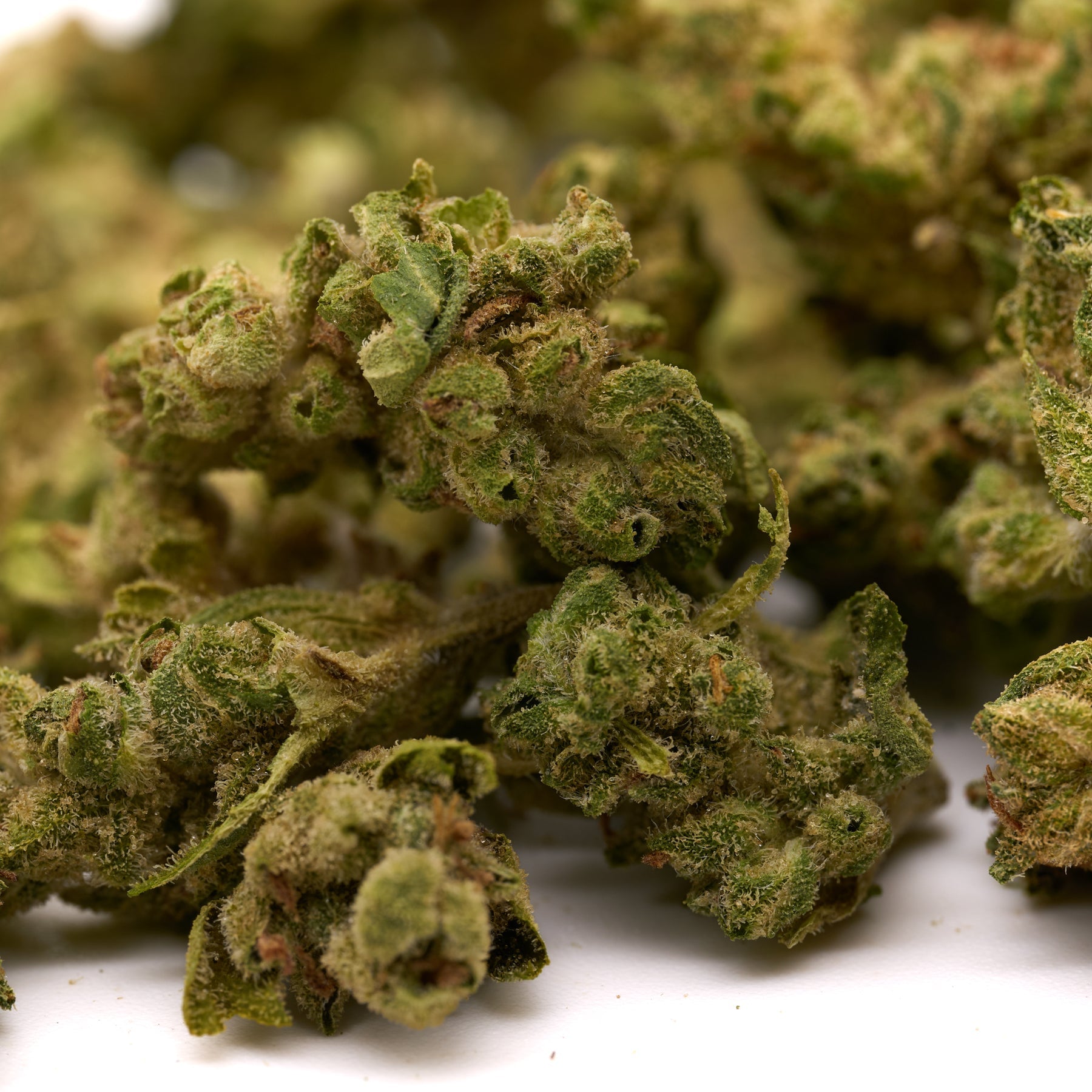 Piled Sauerkraut THCa Small Buds with rich green hues and visible trichomes, Sour Diesel aroma