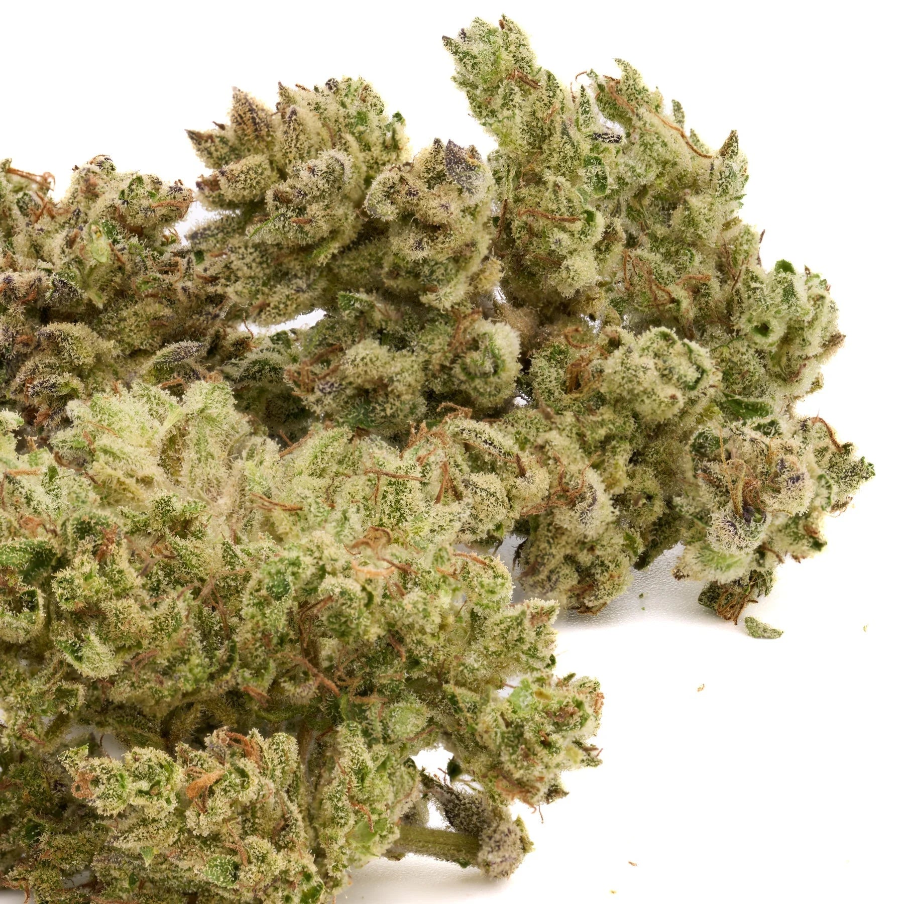 Dried Sauerkraut THCa Hemp Flower with heavy trichome coating for wholesale THCa products