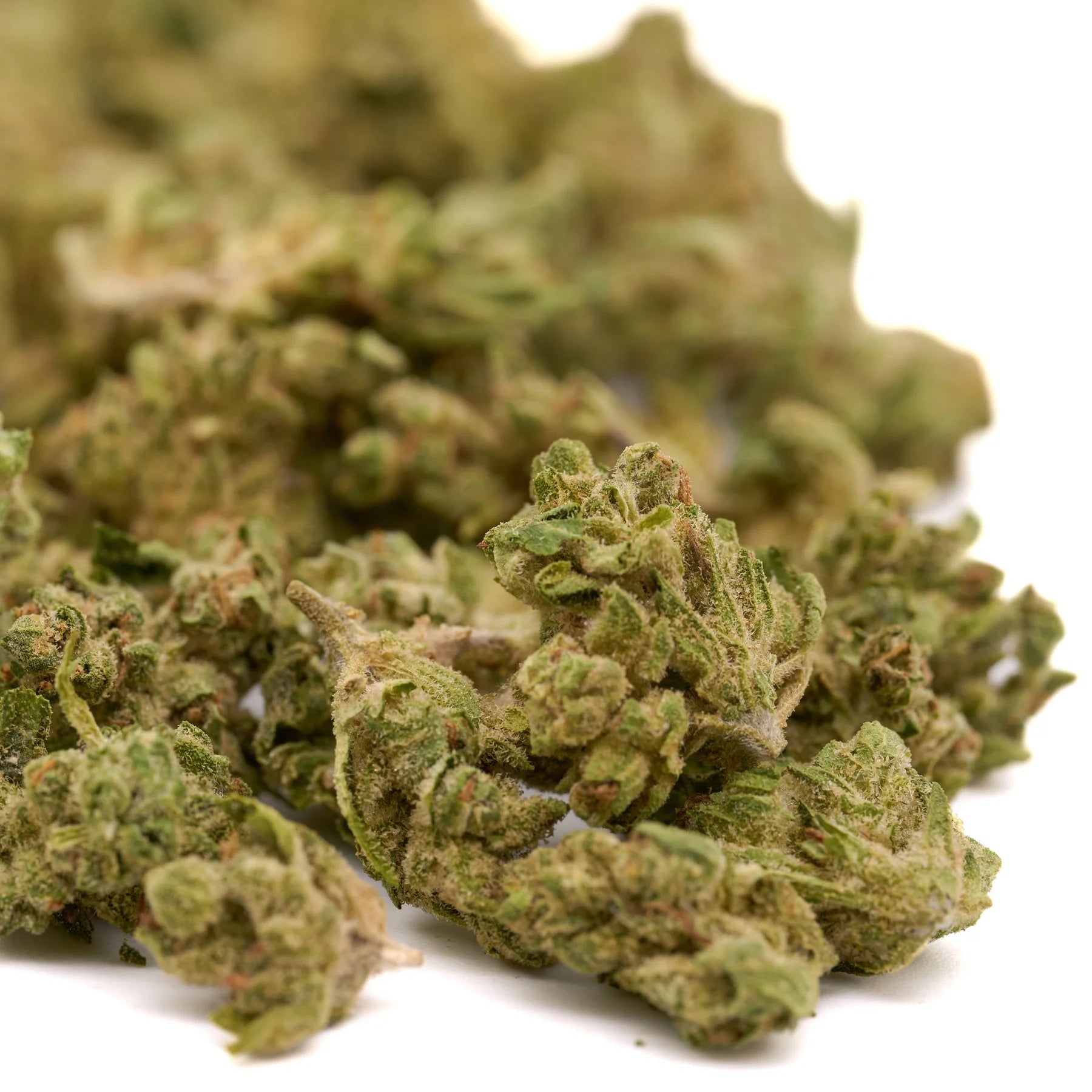 Pile of green hemp flower buds from Sauerkraut THCa Hemp for wholesale smalls