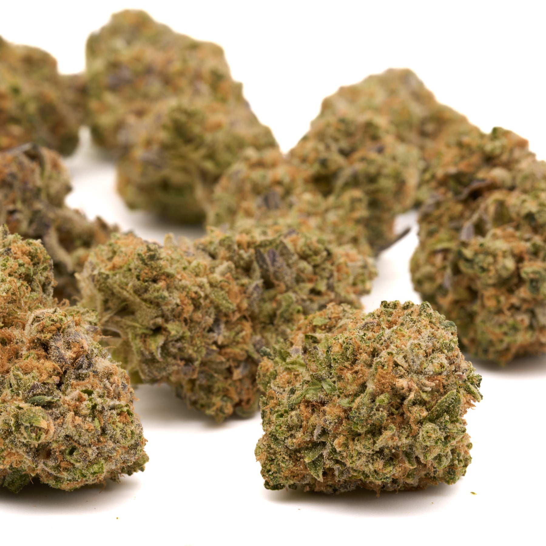 Sherbacio Indoor THCa Flower - Plants