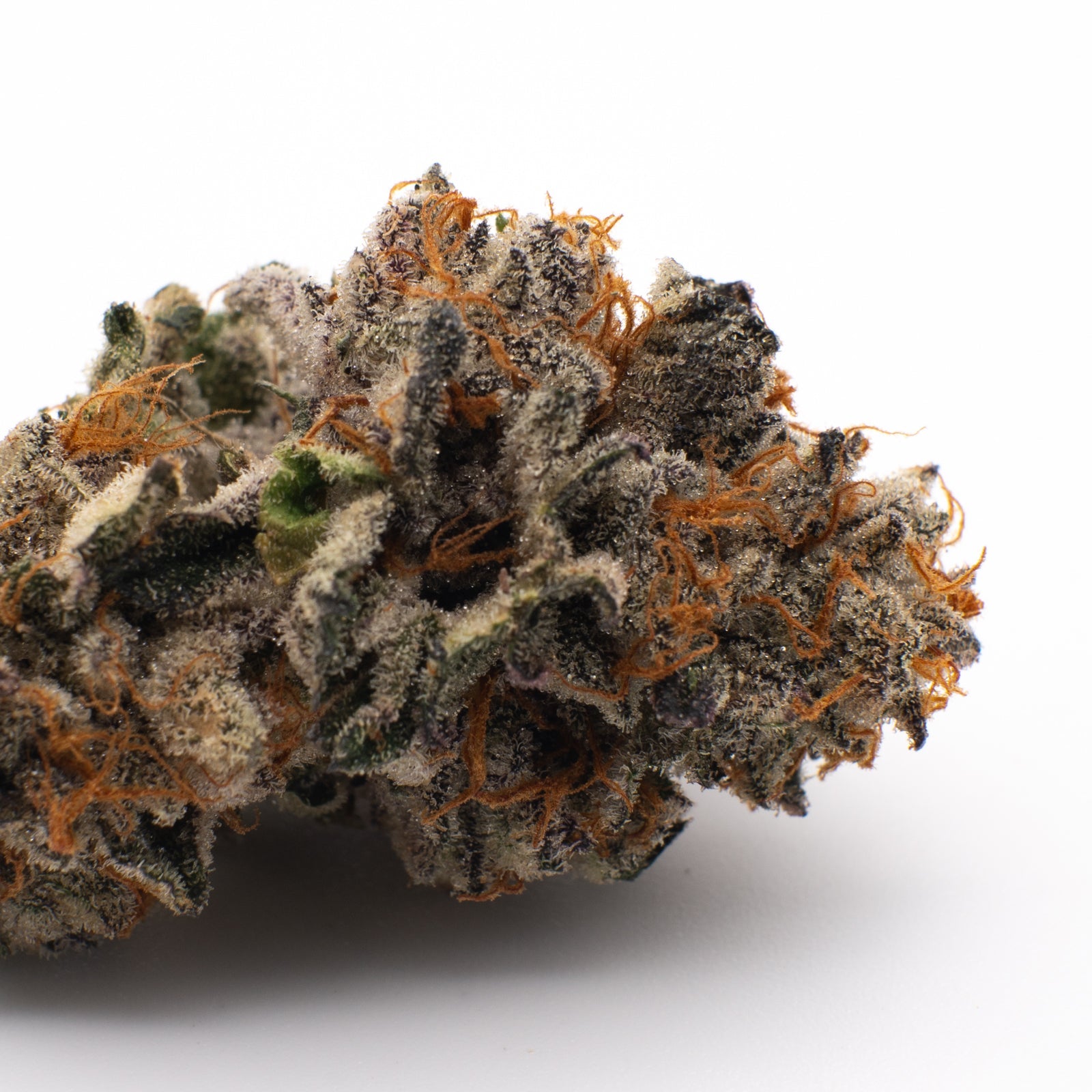 Sherbert Frost Indoor THCa Flower - 5g - Plants