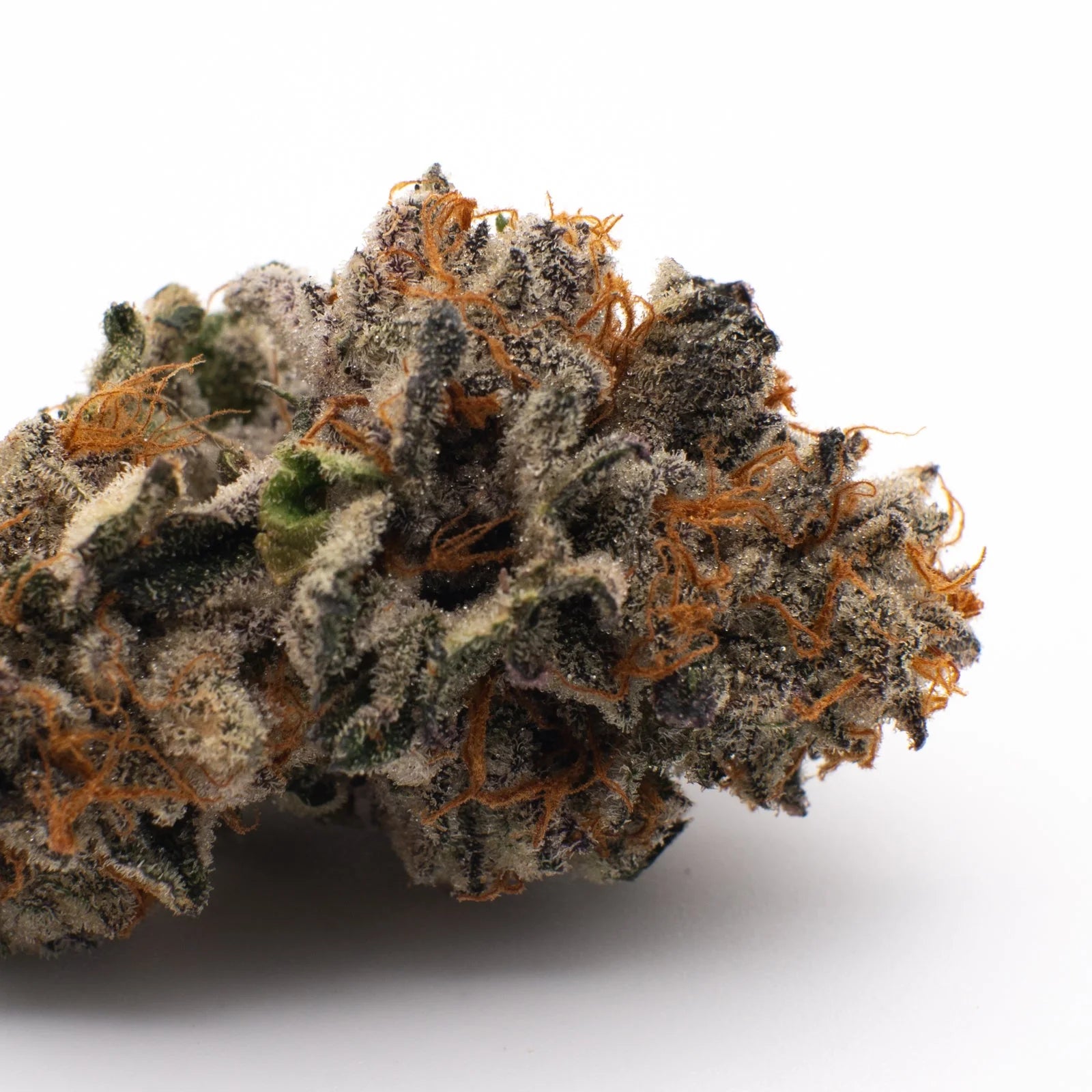 Sherbert Frost Indoor THCa Flower - 5g - Plants
