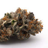 Sherbert Frost Indoor THCa Flower - 5g - Plants