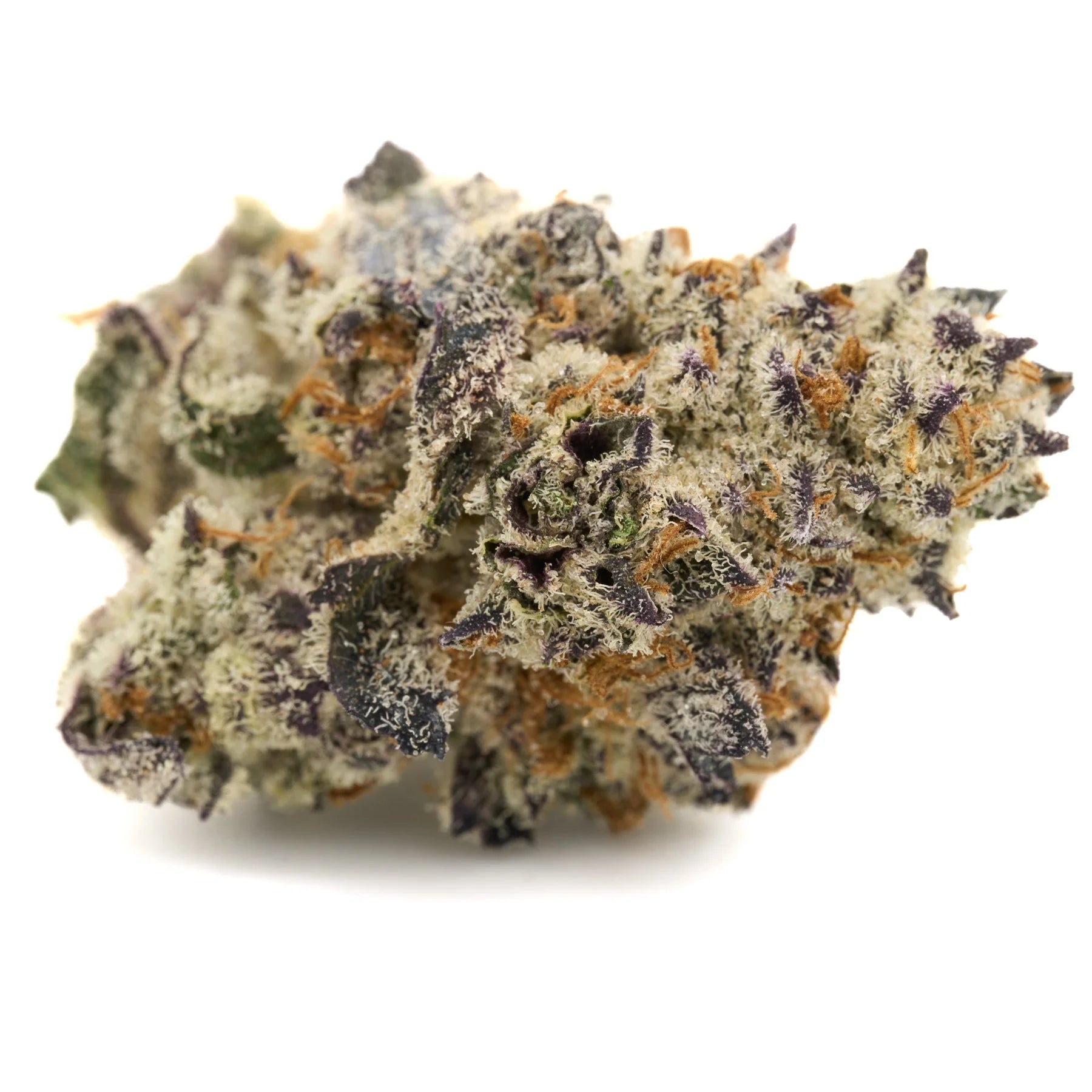 Dense frosted purple kush cannabis bud with orange hairs from Short Mintz Indoor THCa Flower