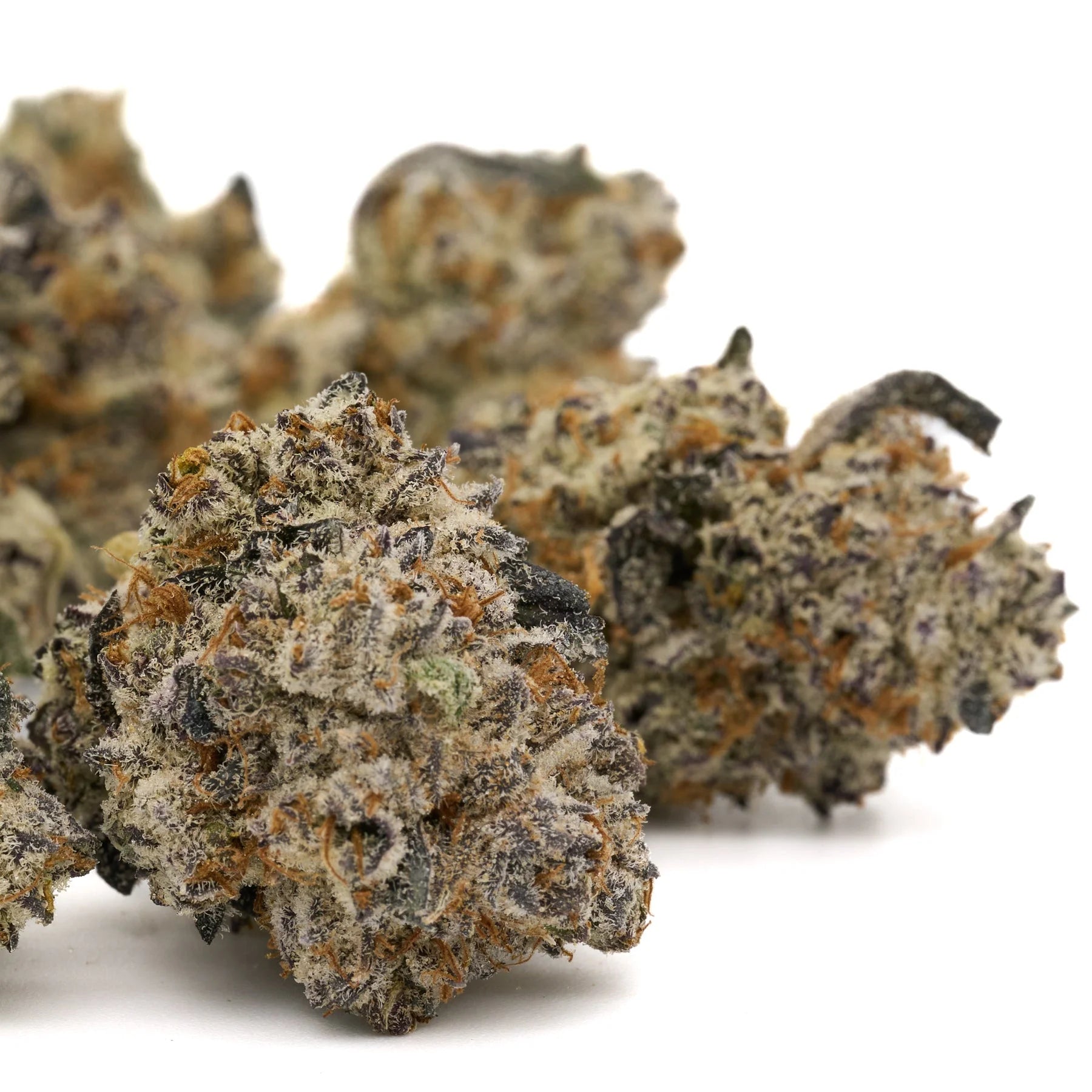 Short Mintz Indoor THCa Flower with dense purple kush cannabis buds and vibrant hues