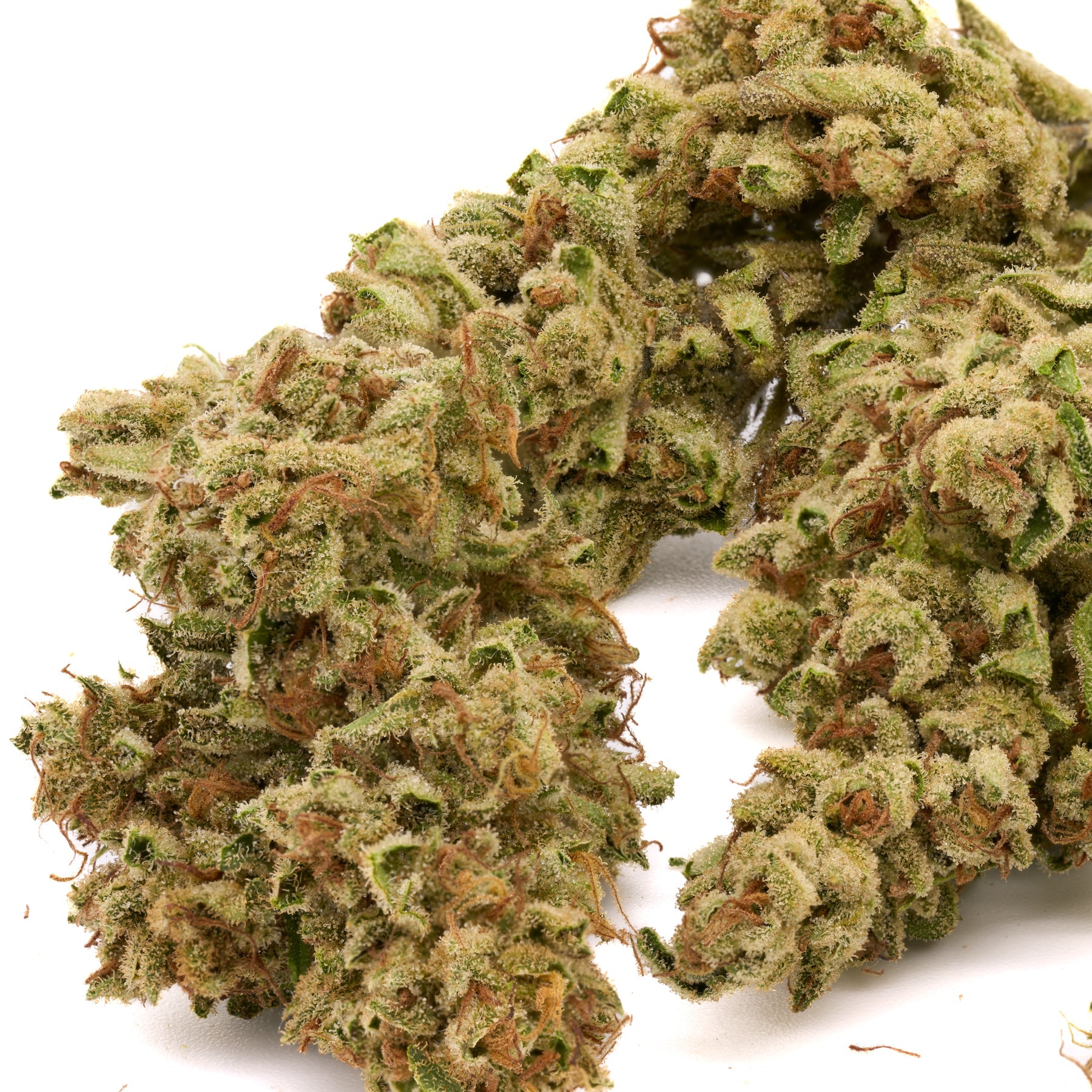 Skywalker THCa Hemp Flower - Plants