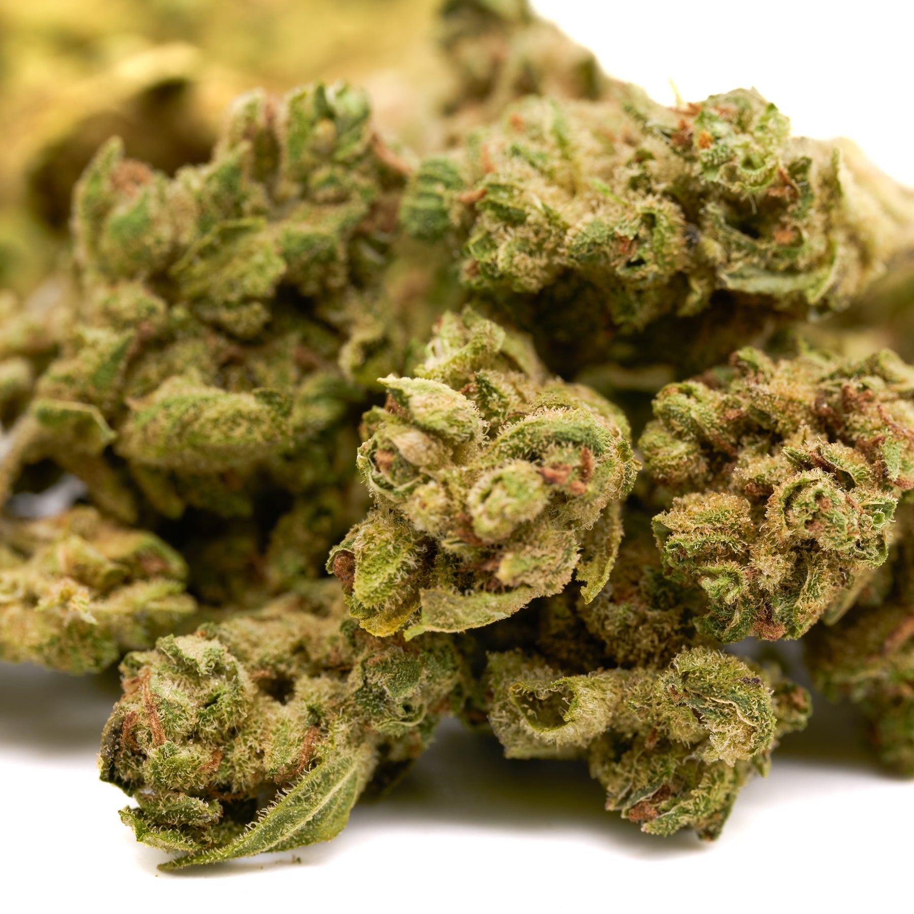 Skywalker THCa Hemp Flower Smalls - Plants