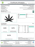 Skywalker THCa Hemp Flower Wholesale Smalls - Plants