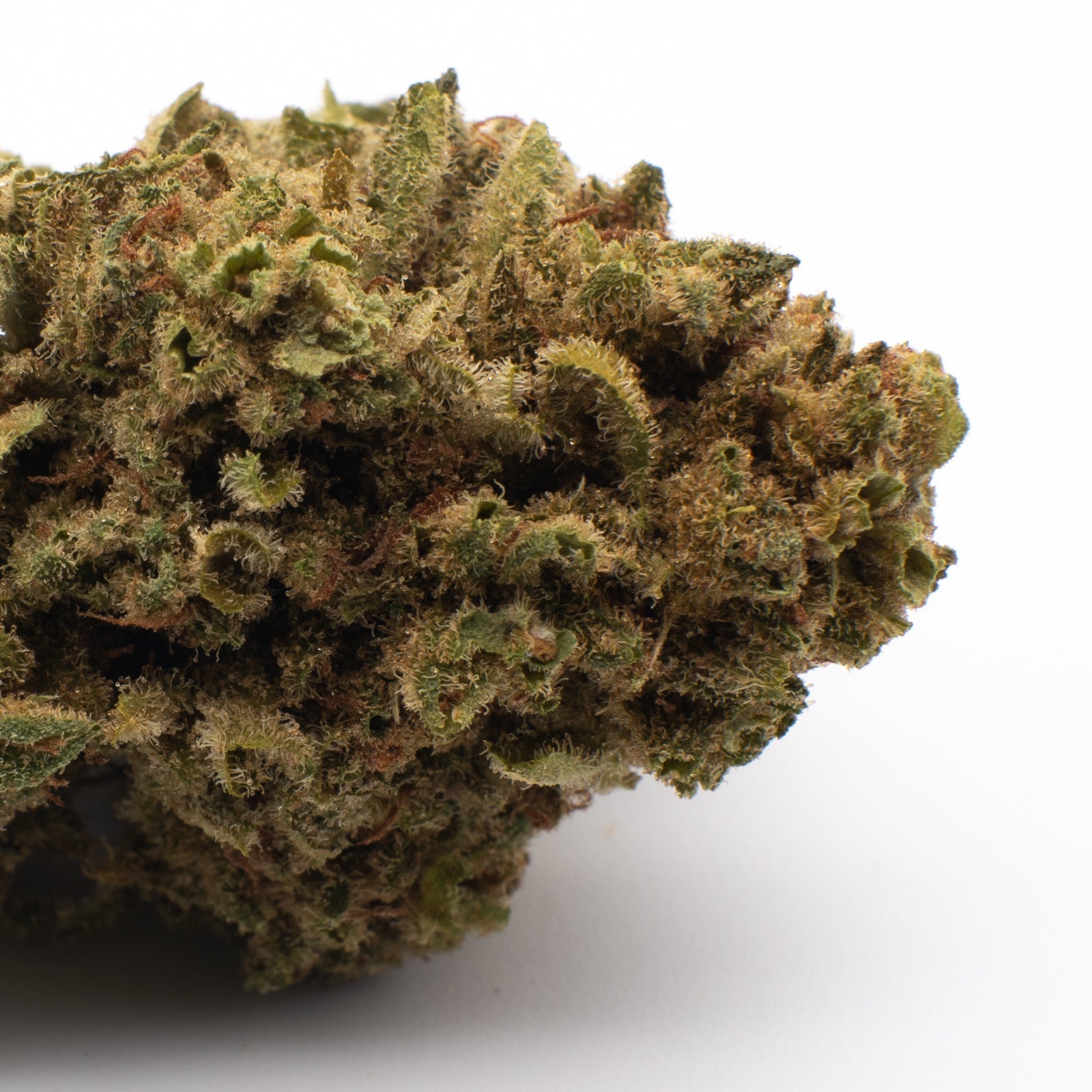 Skywalker THCa Hemp Flower Wholesale Smalls - Plants