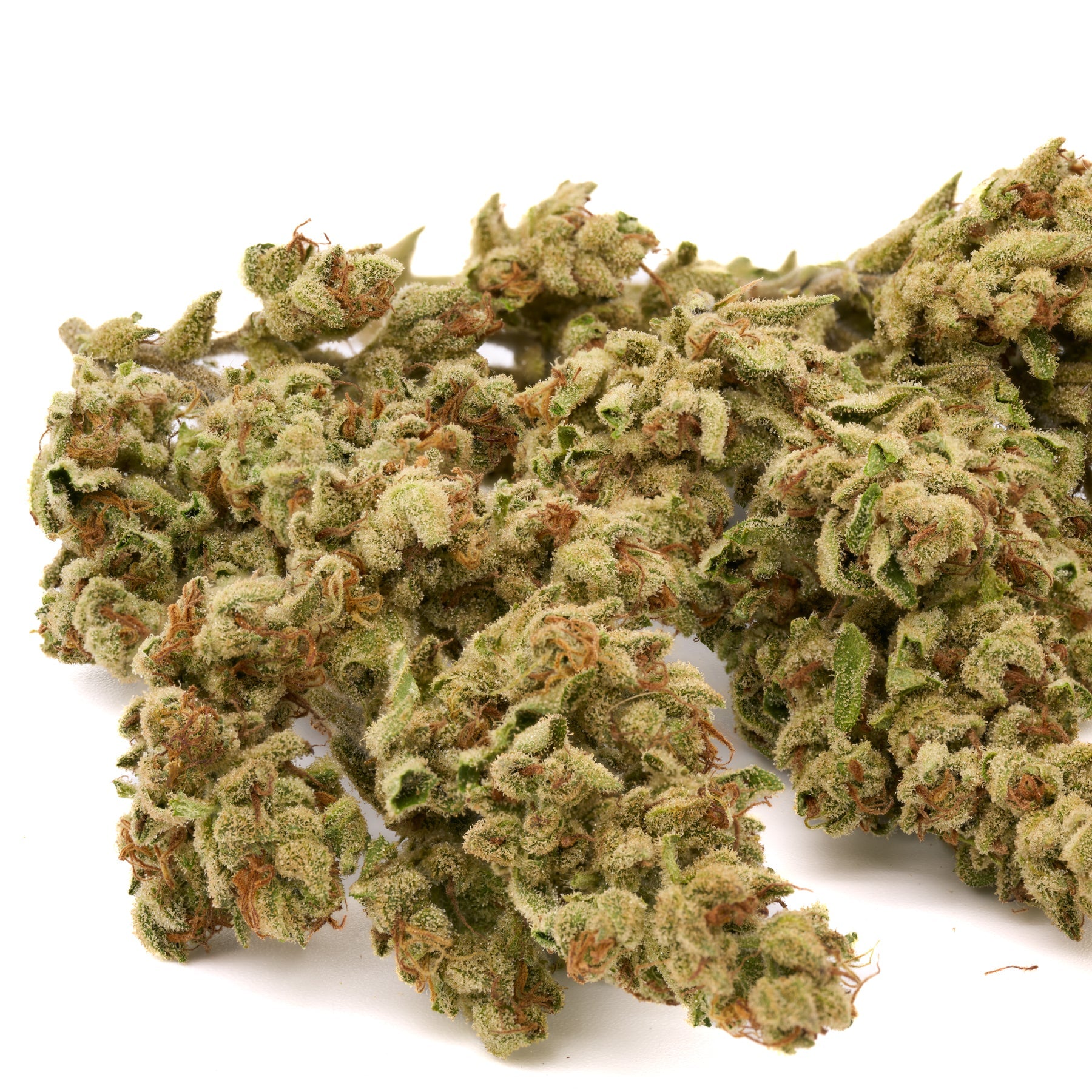 Skywalker THCa Kief - Plants