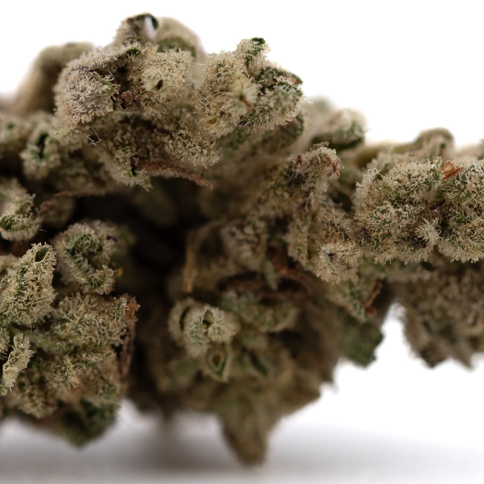 Premium Sour Apple THCa Flower bud with dense trichomes