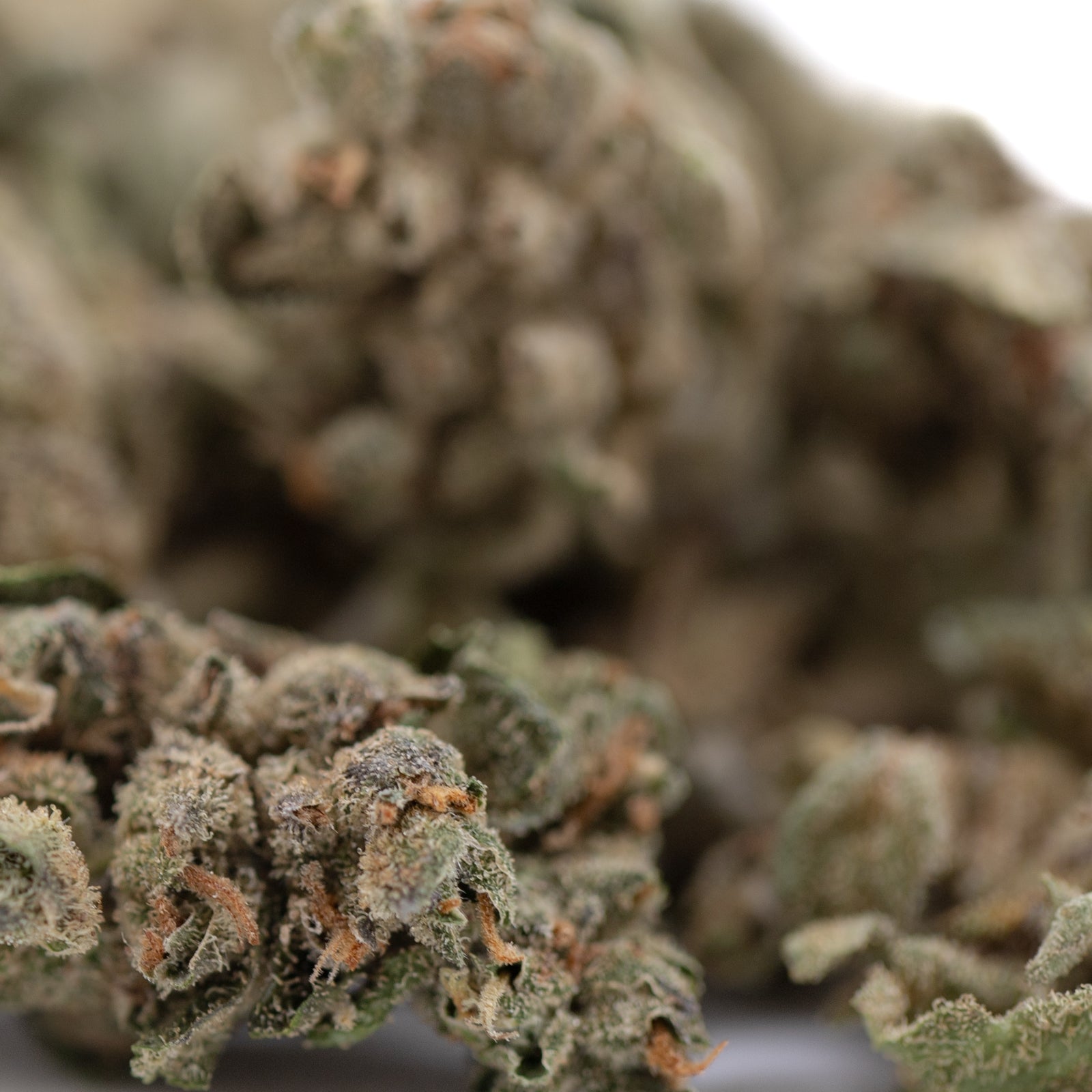 Sour Apple THCa Flower Smalls: Potent bud with green leaves and white trichomes