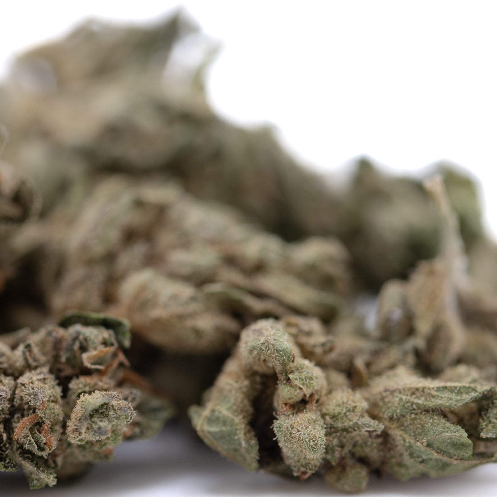 Sour Apple THCa Flower Smalls bud with green leaves and white trichomes