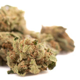 A dense green sour brûlée cbd smalls flower bud covered in fine trichomes with brown pistils visible
