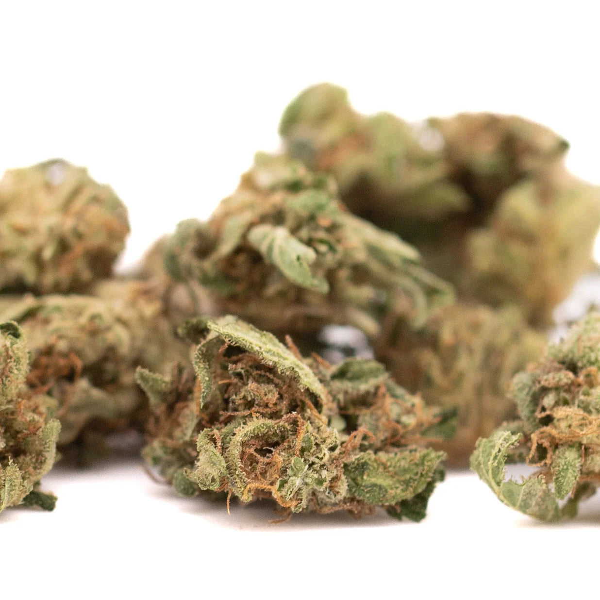 Green and brown sour brûlée cbd smalls flower with dense frosty texture from full-term hemp buds