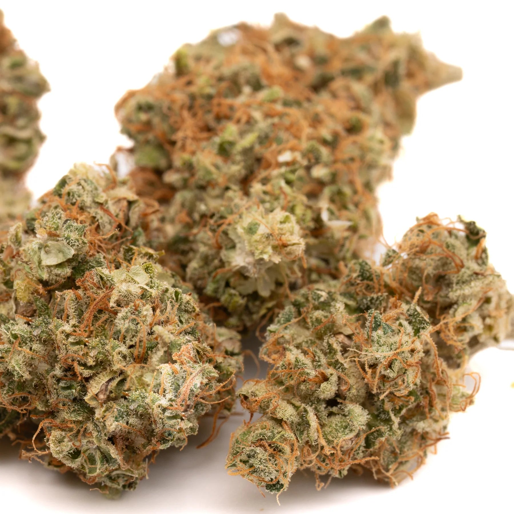 Green and orange-hued sour brûlée cbd smalls flower with dense frosty texture and rich terpene profile for wholesale use
