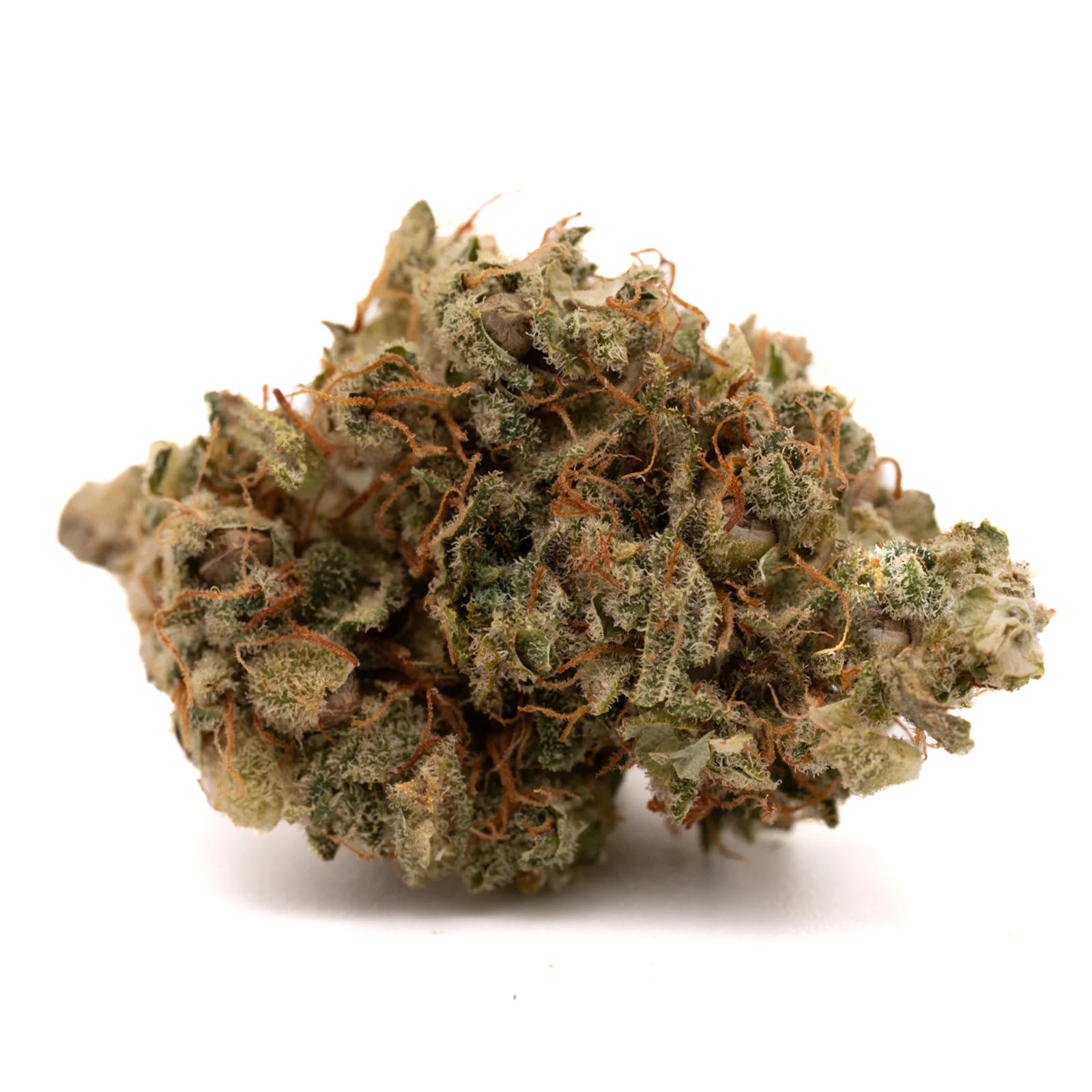 Dense Sour Brûlée CBD hemp flower full-term with resinous buds and prominent orange pistils