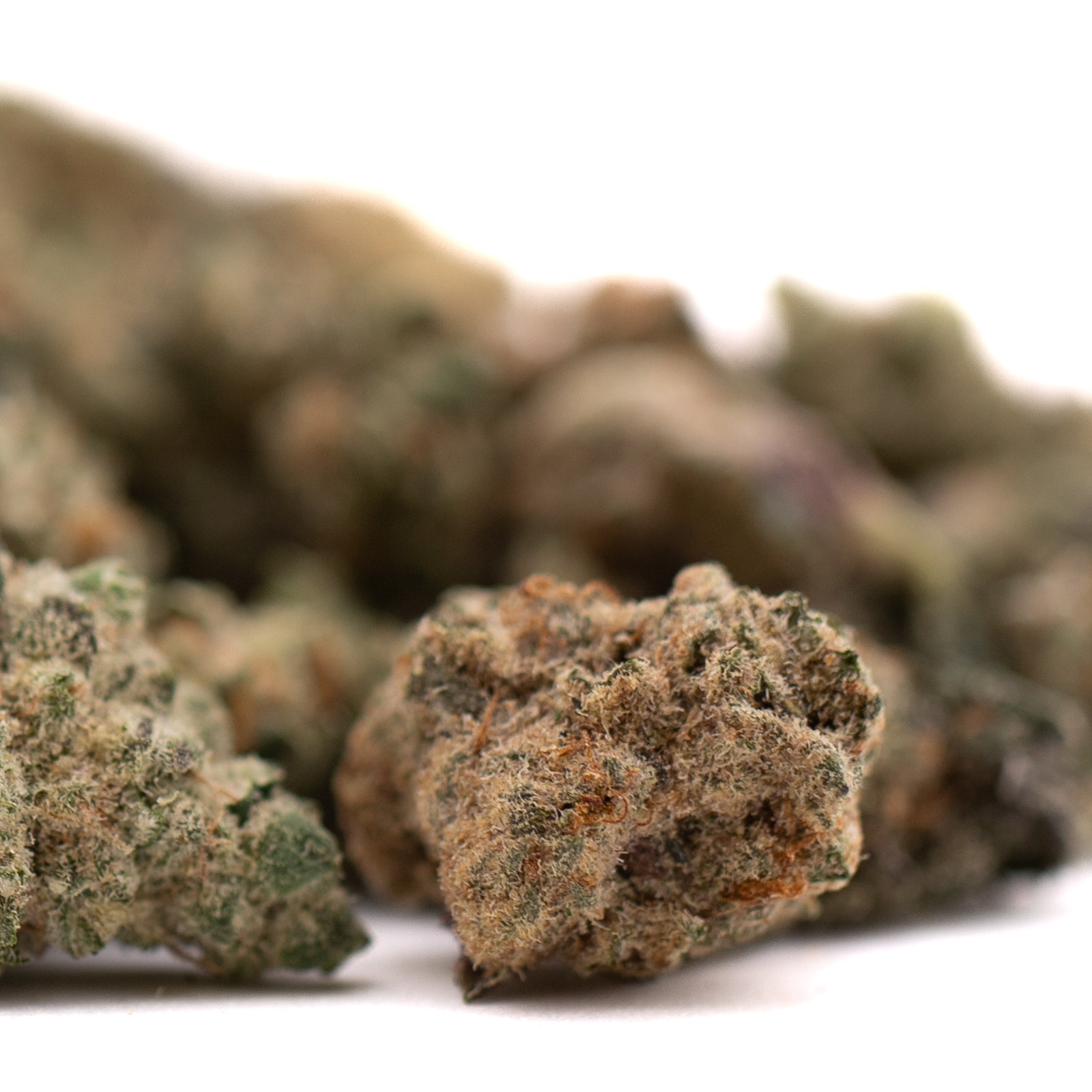 Dried Sour Candy Indoor THCa Flower Smalls with trichomes and orange pistils