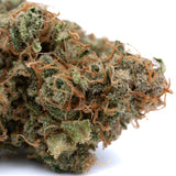 Close-up of Sour Chem CBD Hemp Flower Full-Term with dense green foliage and orange pistils