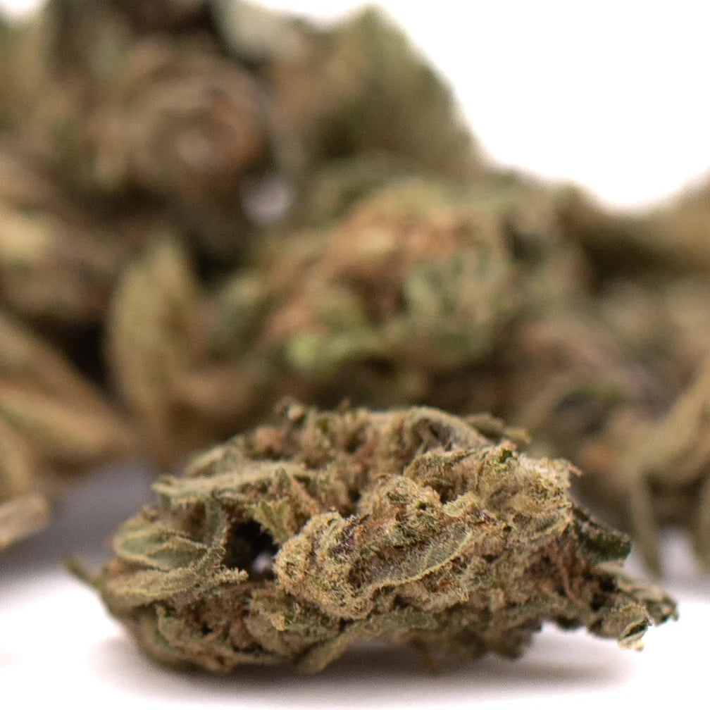 A dense green sour chem cbd smalls flower bud with textured surface and visible trichomes from chem cbd hemp