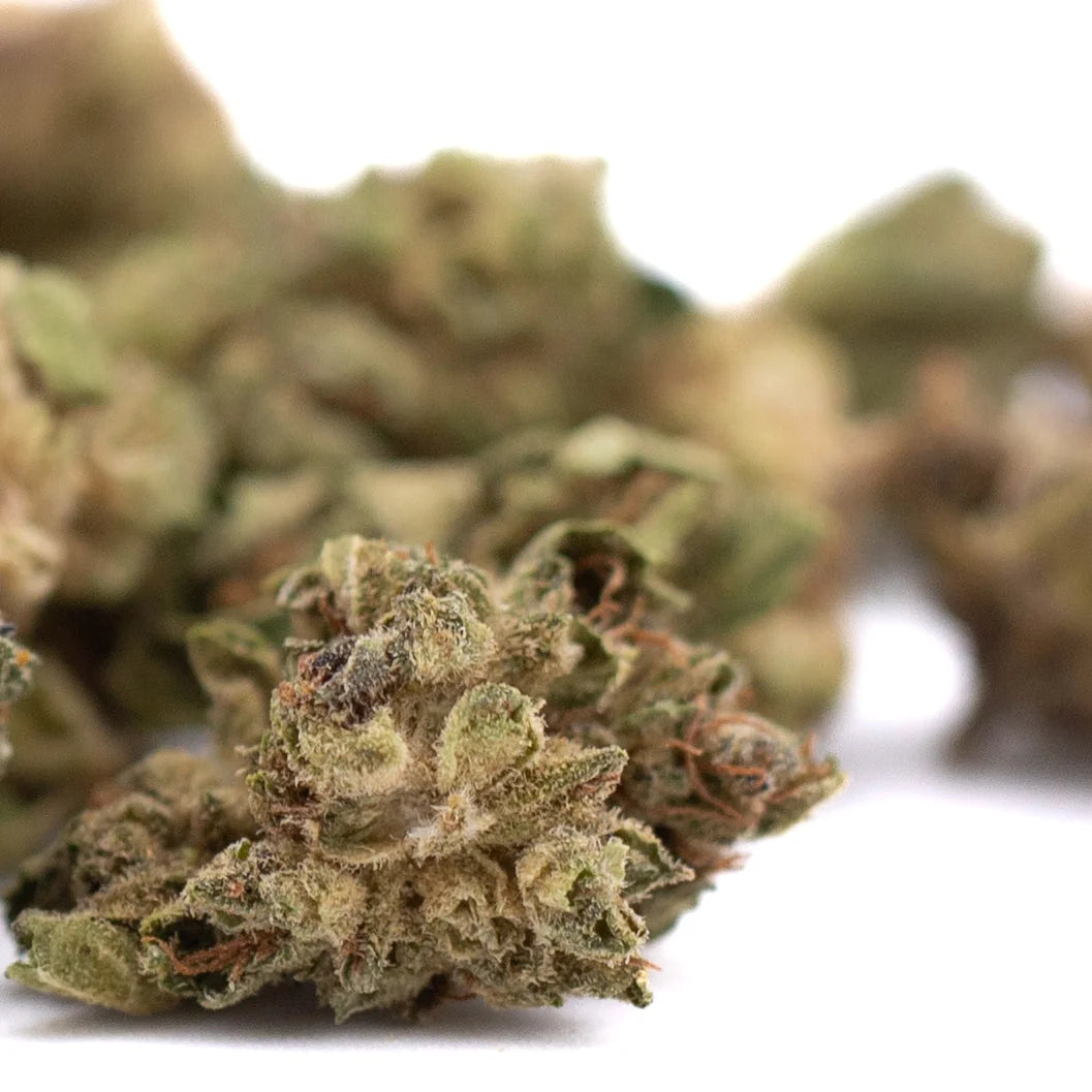 Dense green sour chem smalls cbd hemp flower with fine trichomes and brown pistils for full-term wholesale