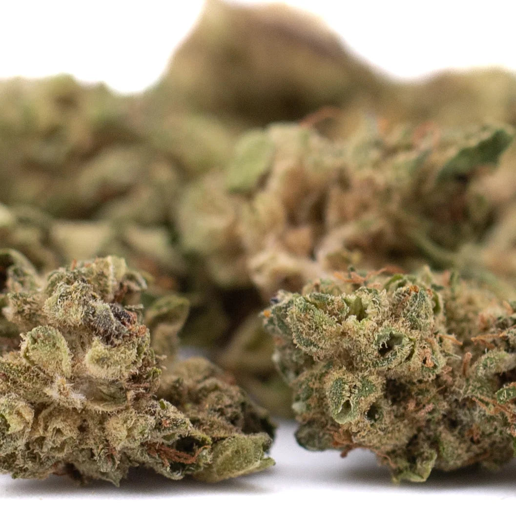 Green and brown sour chem smalls cbd hemp flower buds with a frosty textured surface for wholesale use