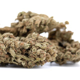 Premium Sour Diesel THCa Flower bud with dense trichomes