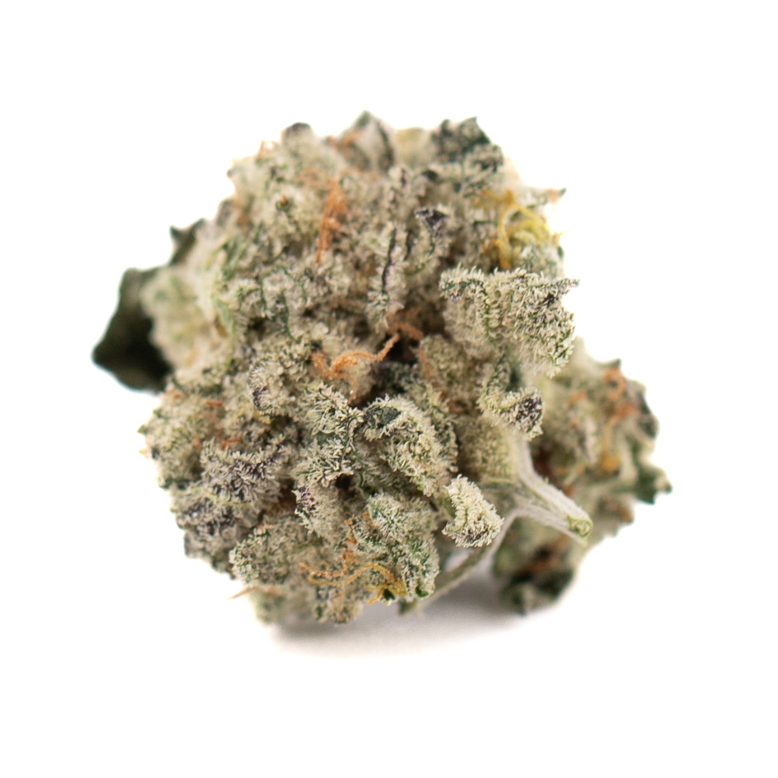 Close-up of Sour Garlic Cookies indoor THCa flower hemp bud with trichomes and orange hairs