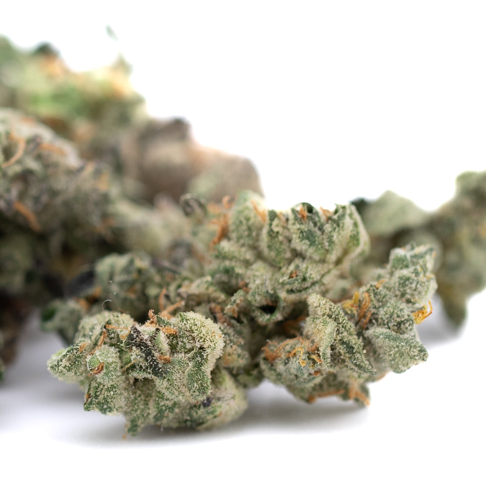 Dried Sour Garlic Cookies Indoor THCa Flower Smalls, premium hemp flower buds