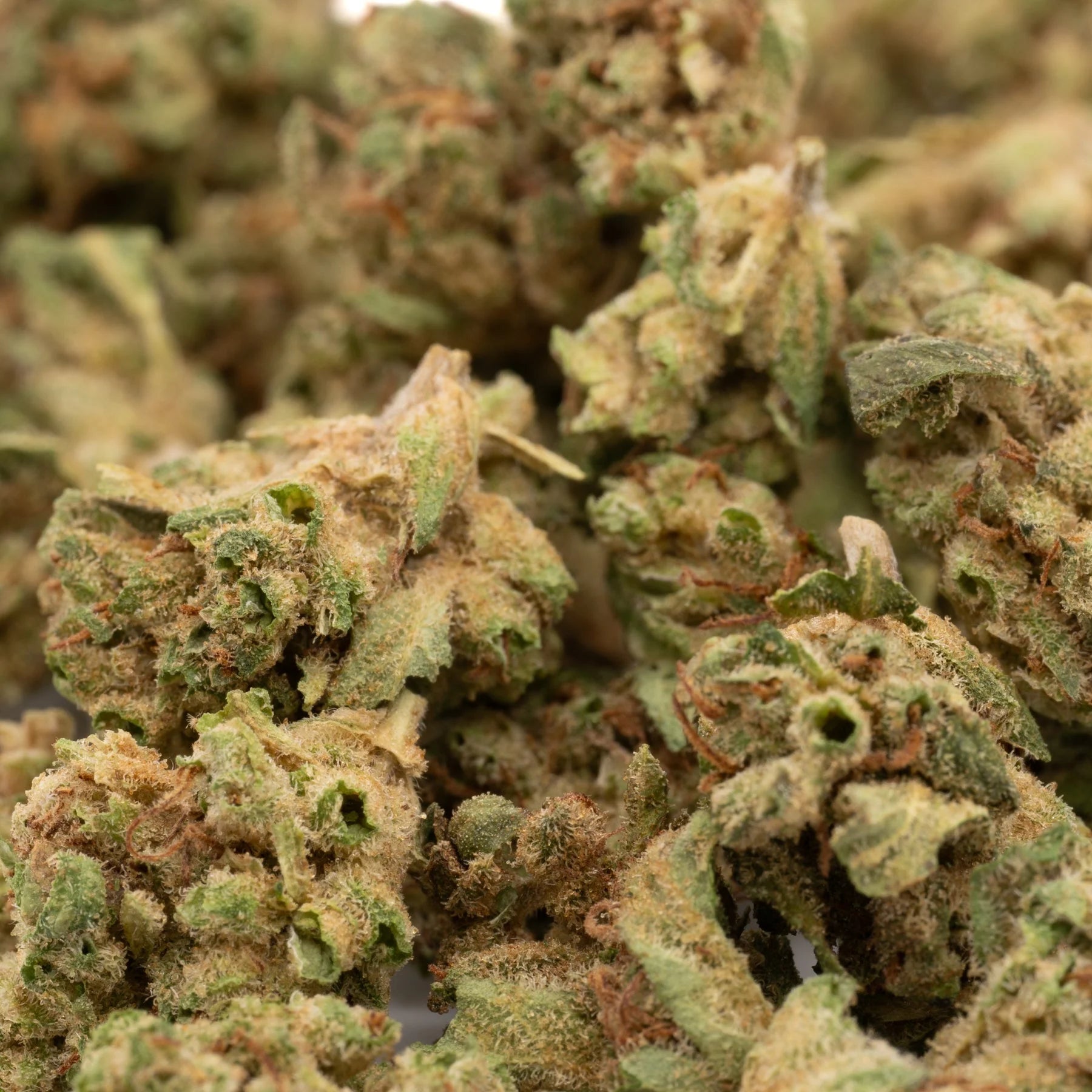 Sour Garlic THCa Hemp Flower Smalls - Plants