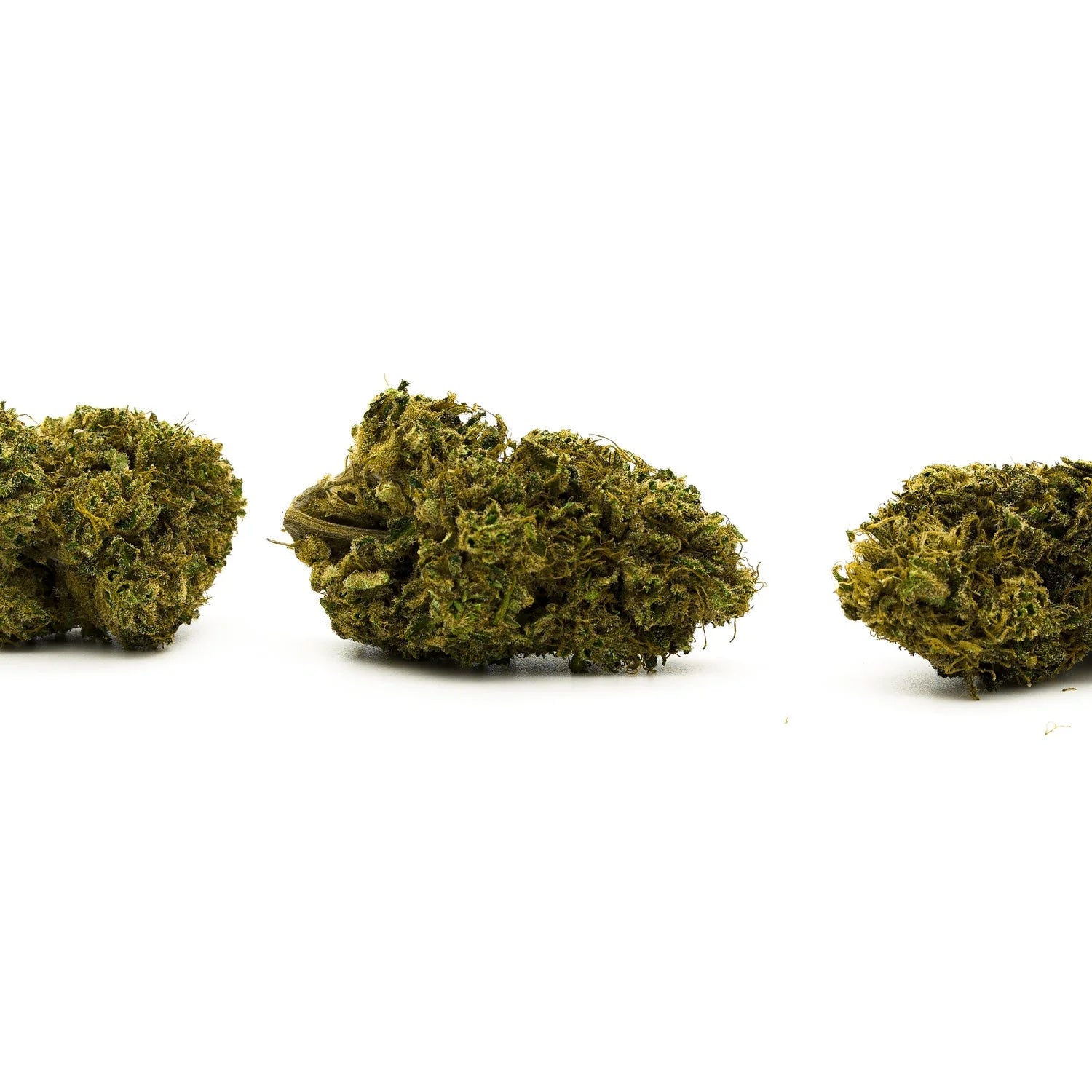 Sour Hawaiian Haze Hemp Flower - Plants