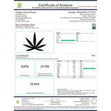 Sour Hawaiian Haze Hemp Flower