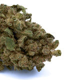 Sour OG THCa Hemp Flower - Plants