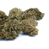 Sour OG THCa Hemp Flower - Plants