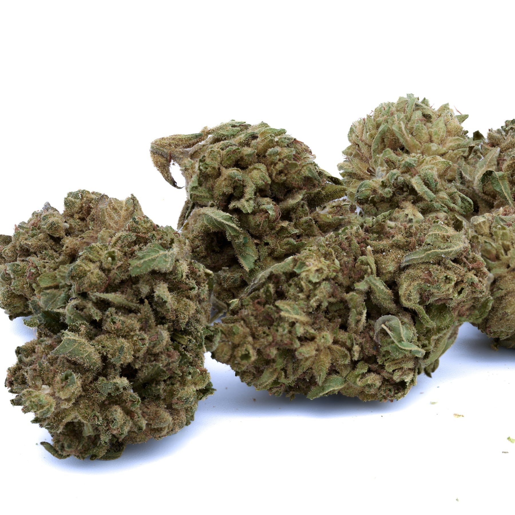 Sour OG THCa Hemp Flower - Plants