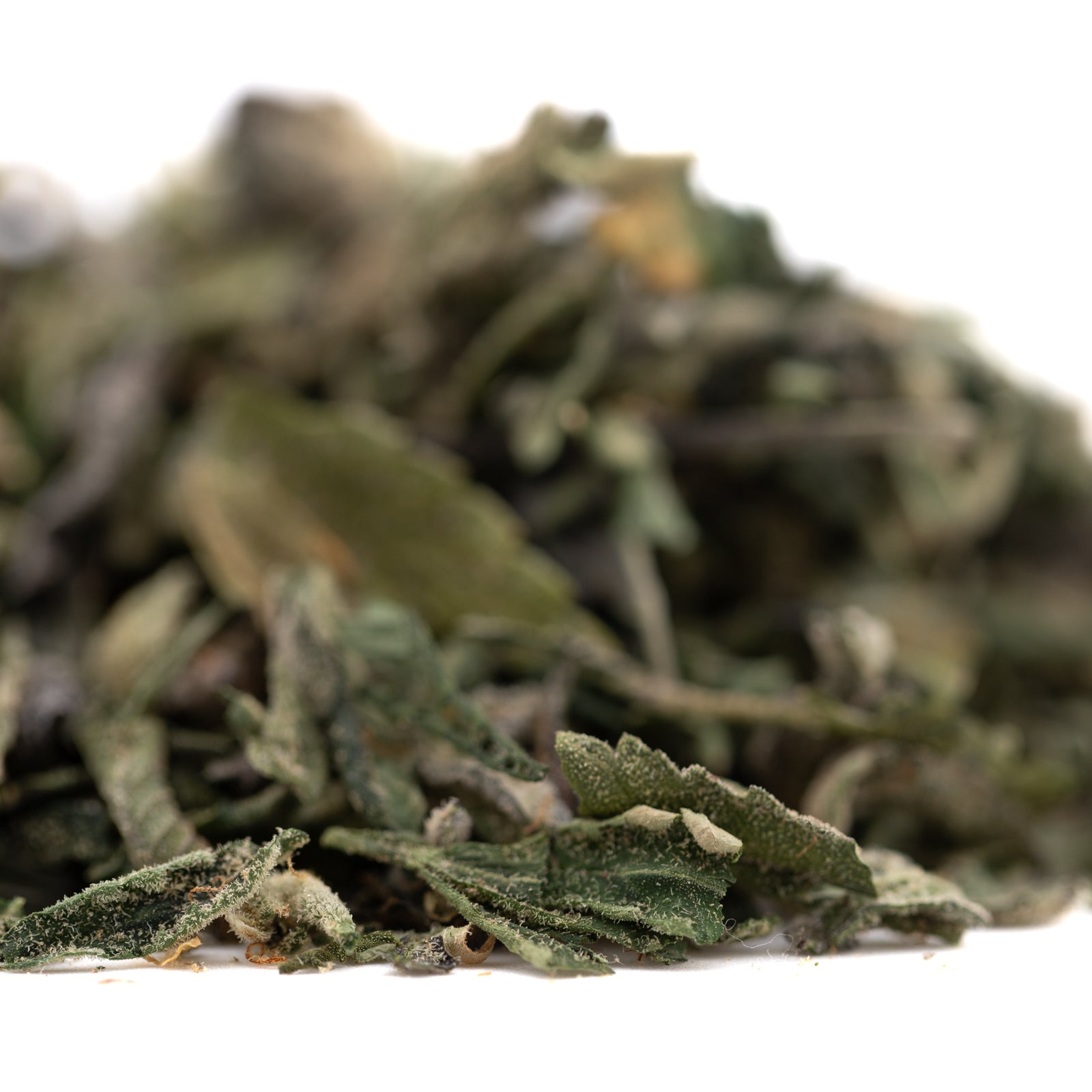 Pile of green dried sage leaves, Sour OG THCa trim wholesale hemp flower ingredient