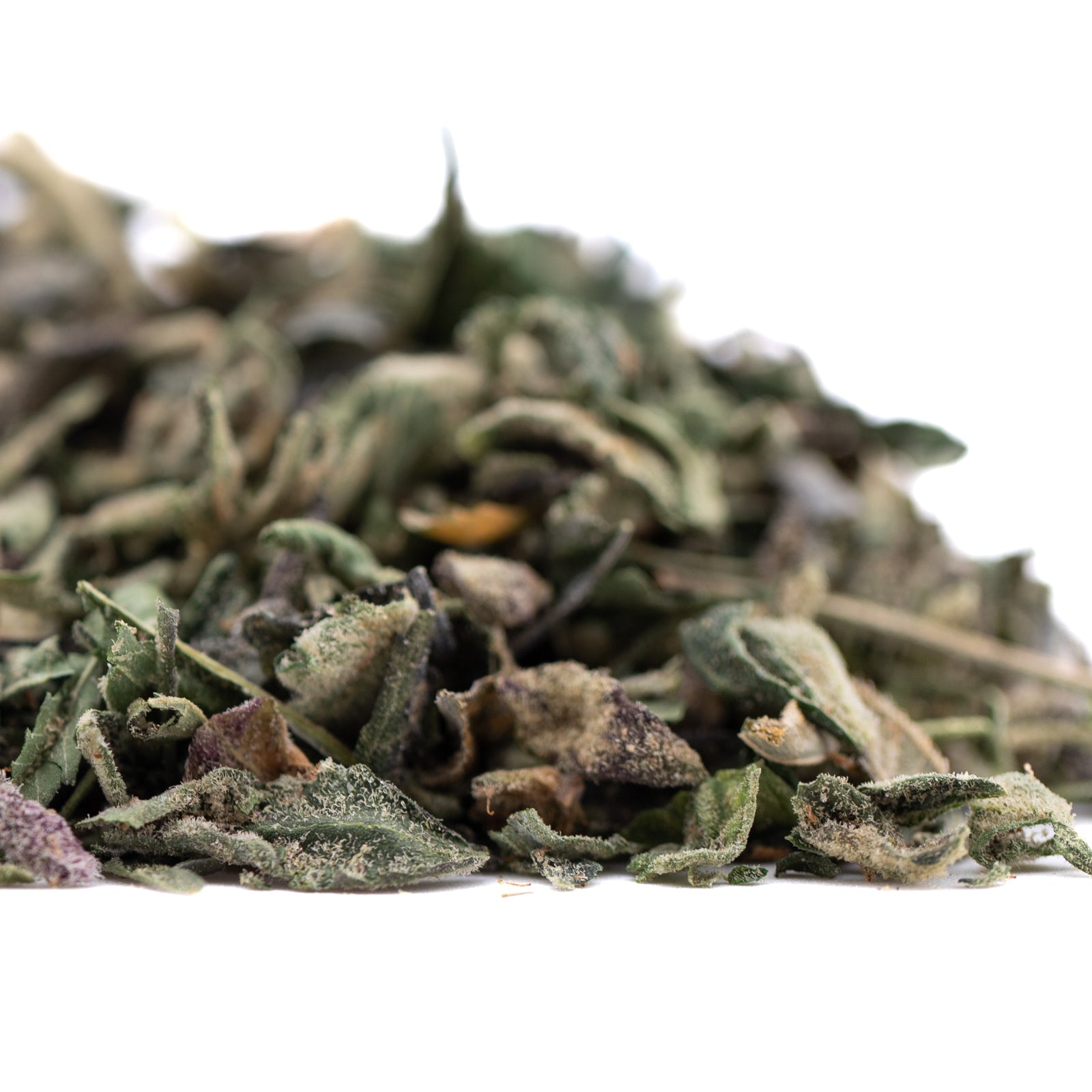 Sour OG THCa trim wholesale: dried sage herbal tea blend