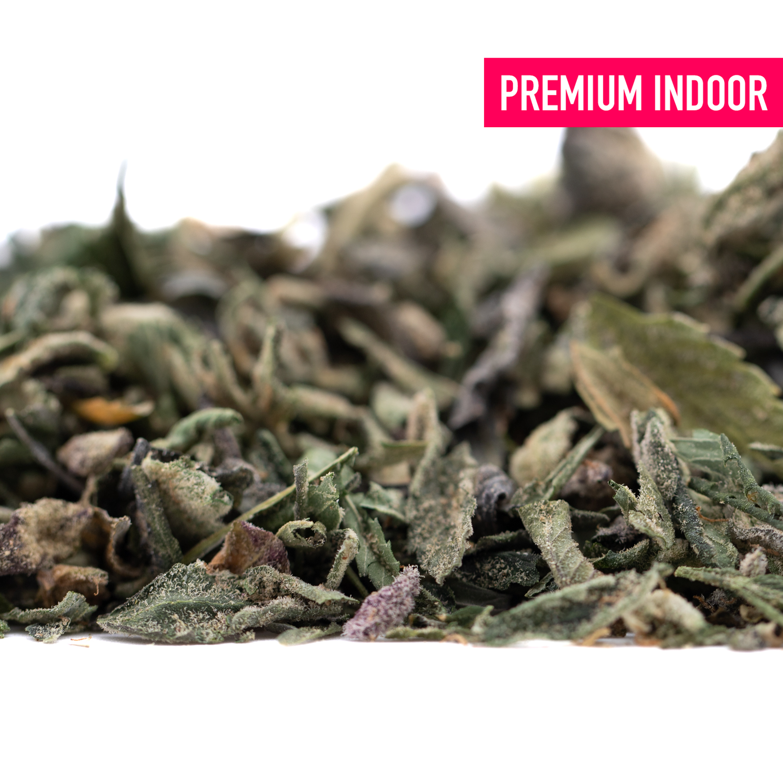 Premium Sour OG THCa Trim Wholesale Indoor Dried Herb Blend