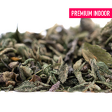 Premium Sour OG THCa Trim Wholesale Indoor Dried Herb Blend