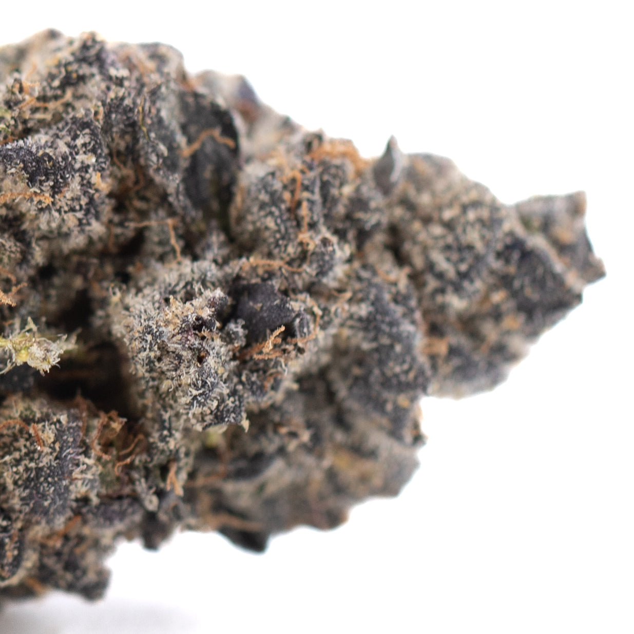 Sour Pears Indoor THCa Flower: Black and Brown Bud with White Frost