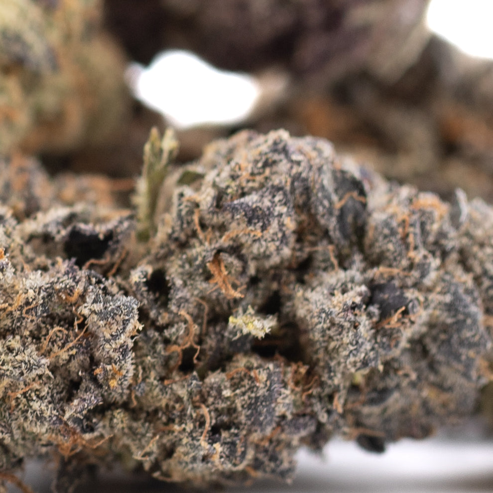 Dark brown Sour Pears THCa flower bud with orange trichomes