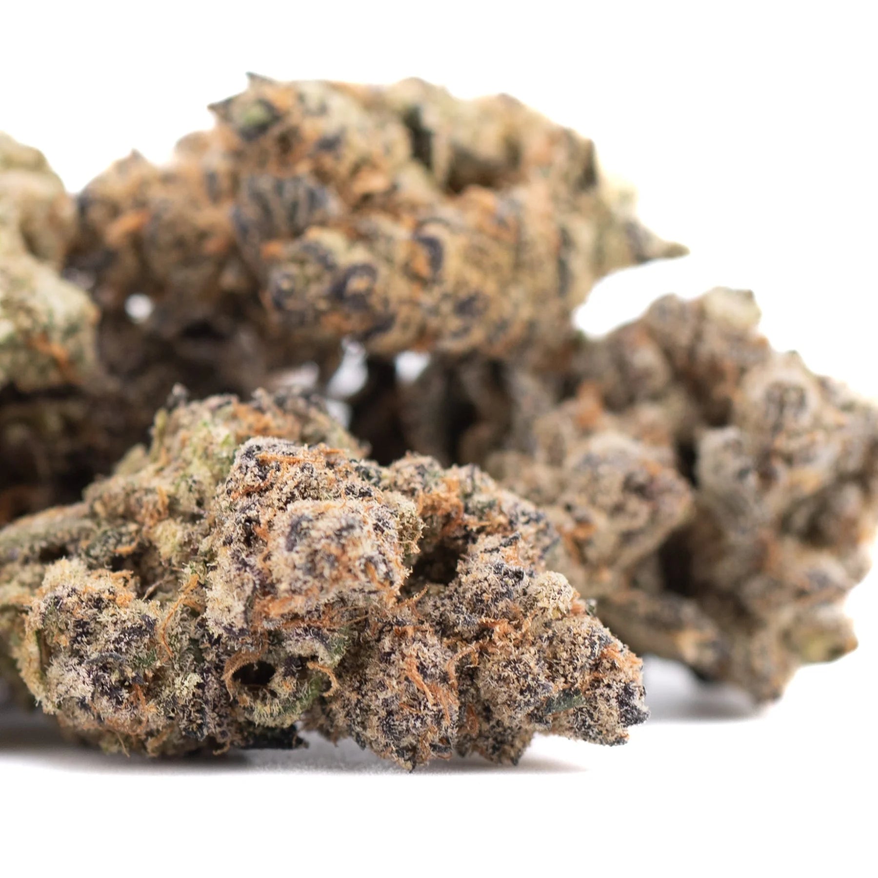 Sour Pears THCa flower bud with dark green hues and trichomes