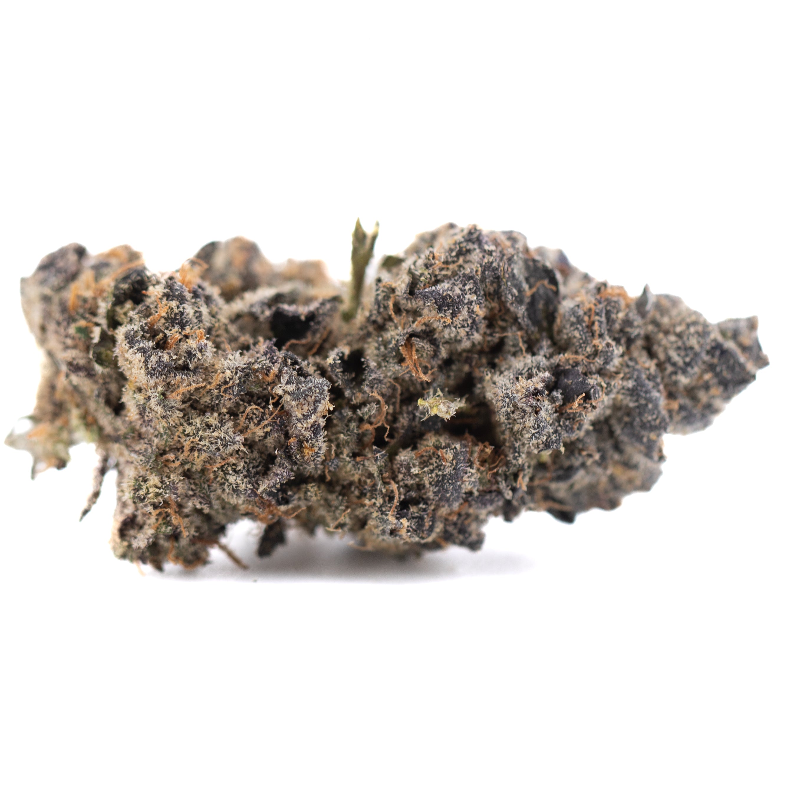 Sour Pears Indoor THCa Flower bud with dark green hues and trichomes