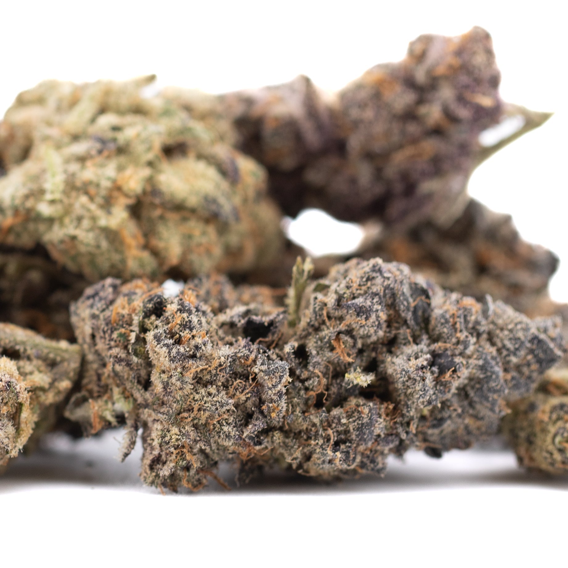 Sour Pears indoor THCa flower bud with green-purple hues and trichomes