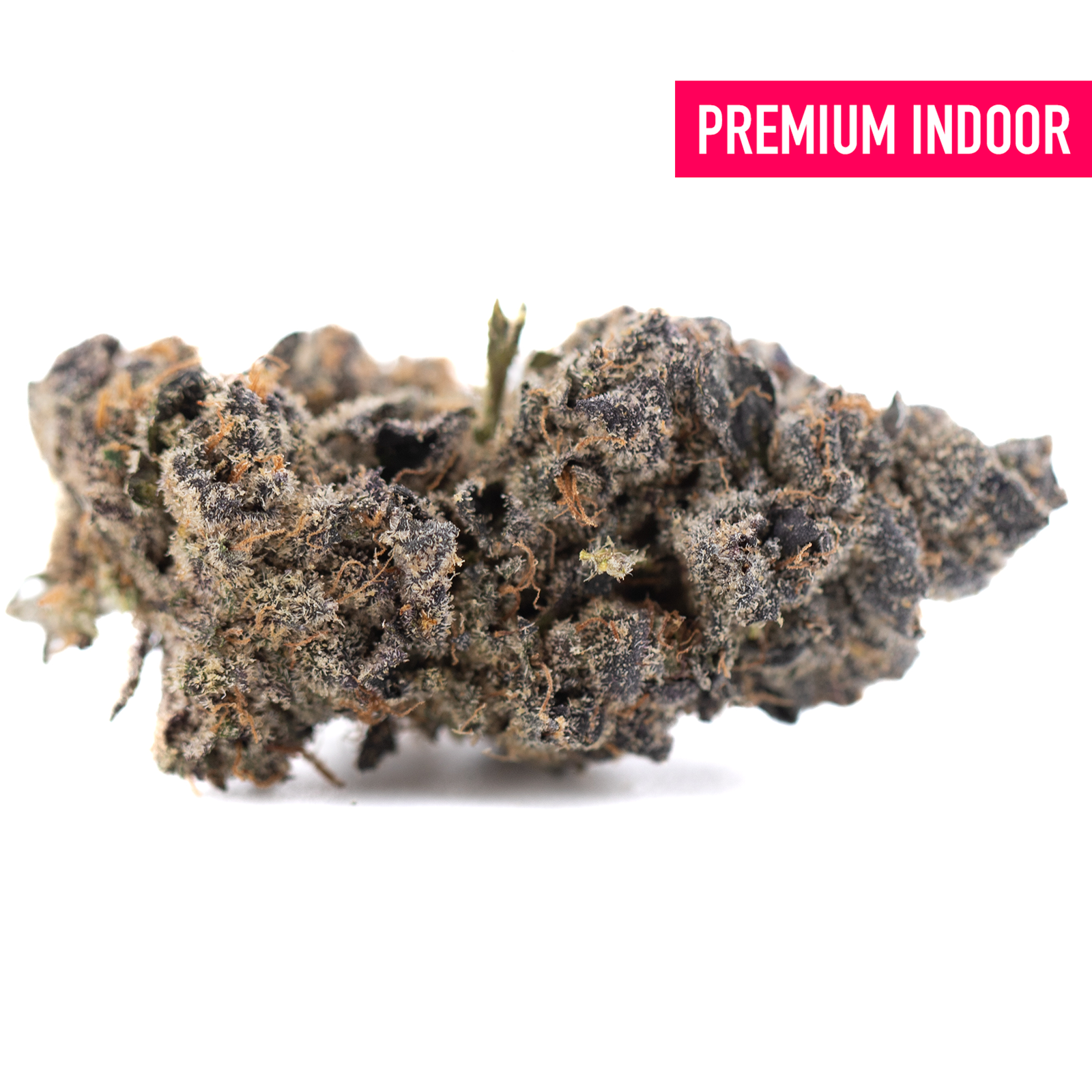 Premium Sour Pears indoor THCa flower bud with dense trichomes