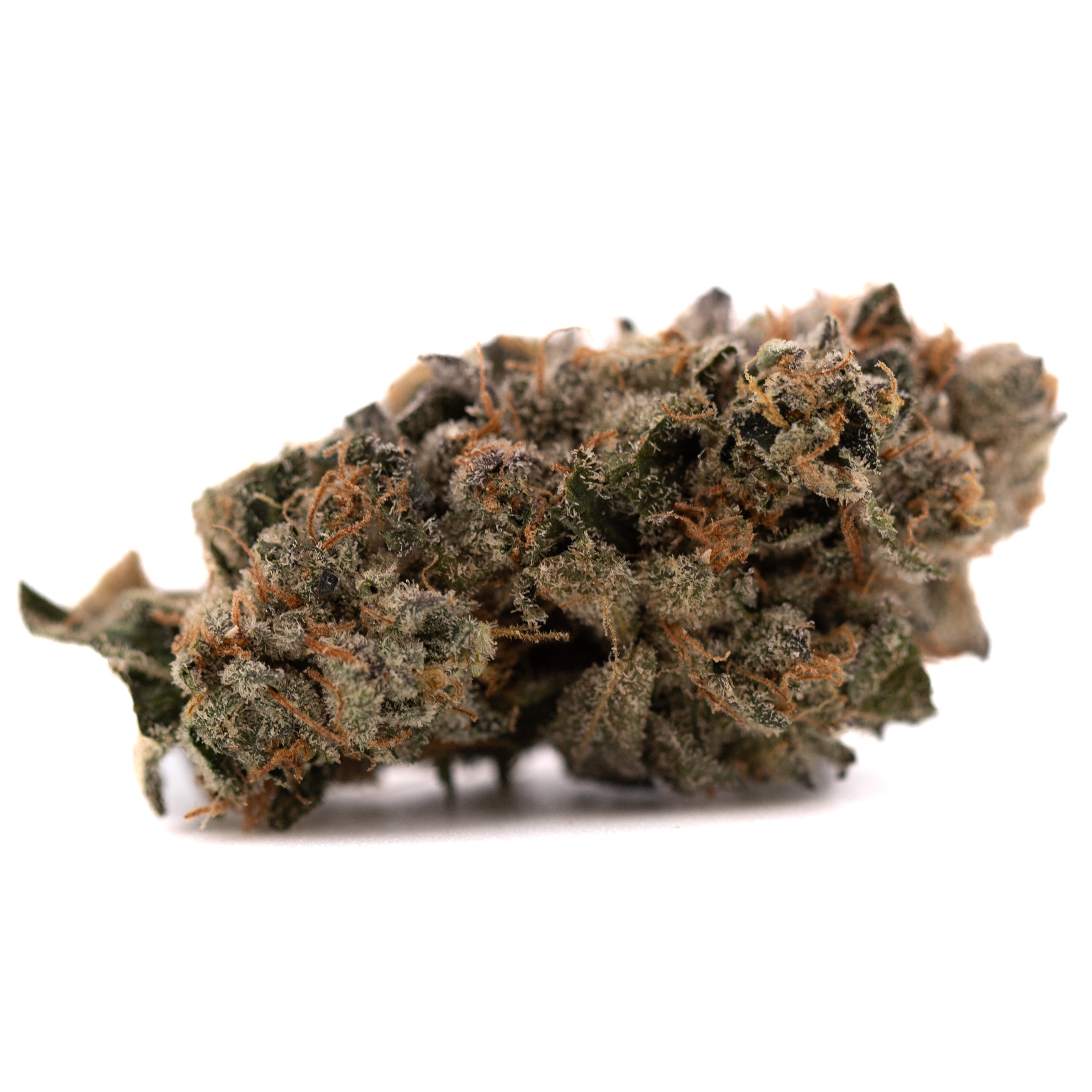 Sour Runtz Indoor THCa Flower with dense trichome-rich cannabis bud and orange pistils