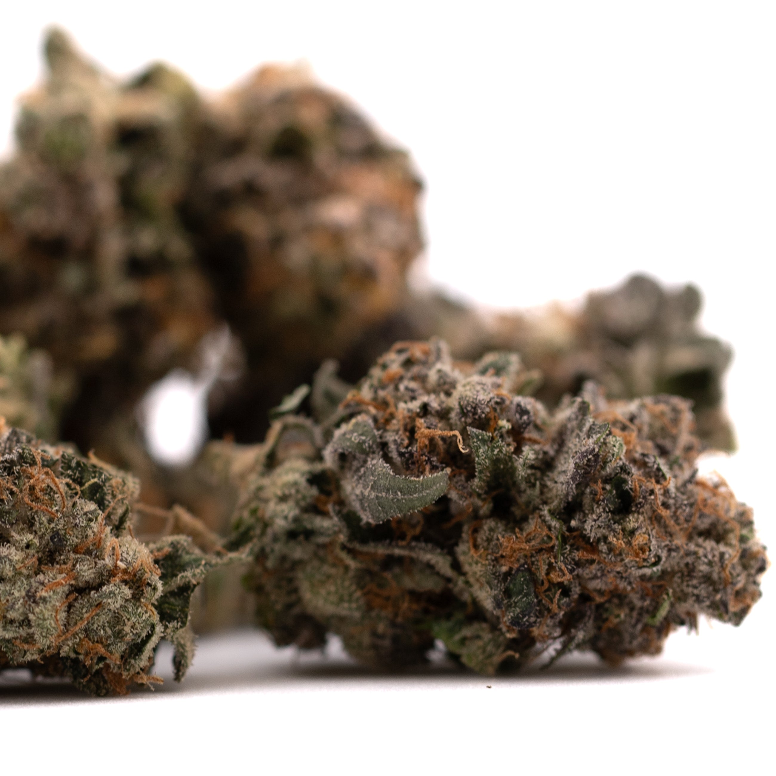 Dried Sour Runtz Indoor THCA Flower buds showcasing therapeutic potential